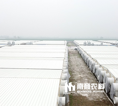 南商農(nóng)科：安徽潘集規(guī)模16800頭母豬場(chǎng)
