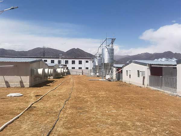 南商農(nóng)科豬場建設(shè)EPC-西藏拉薩高標(biāo)準(zhǔn)生豬養(yǎng)殖場