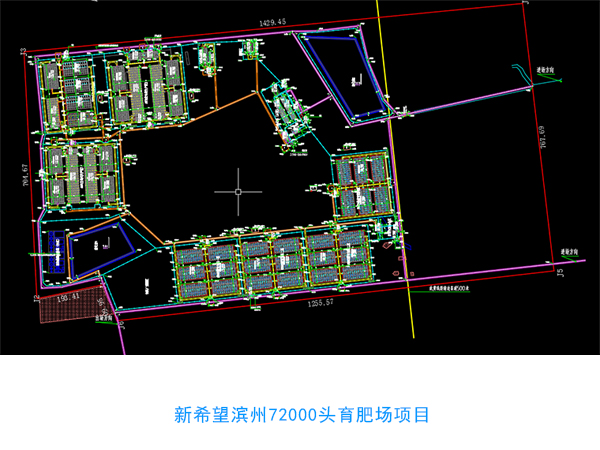 萬頭規(guī)?；署B(yǎng)豬場設(shè)計圖