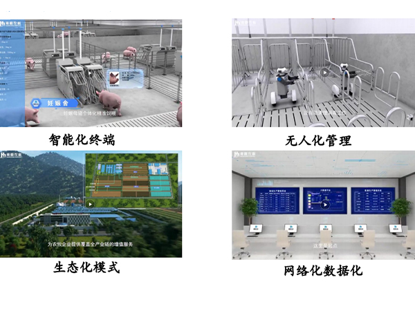 智慧化豬場(chǎng)是未來養(yǎng)豬業(yè)發(fā)展方向
