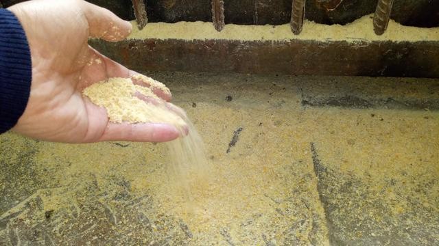 干料、粥料和水料形態(tài)的飼料對豬群的影響