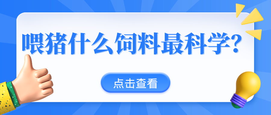 干料飼喂、粥料飼喂、液態(tài)飼喂，不同飼喂模式的效益成本分析