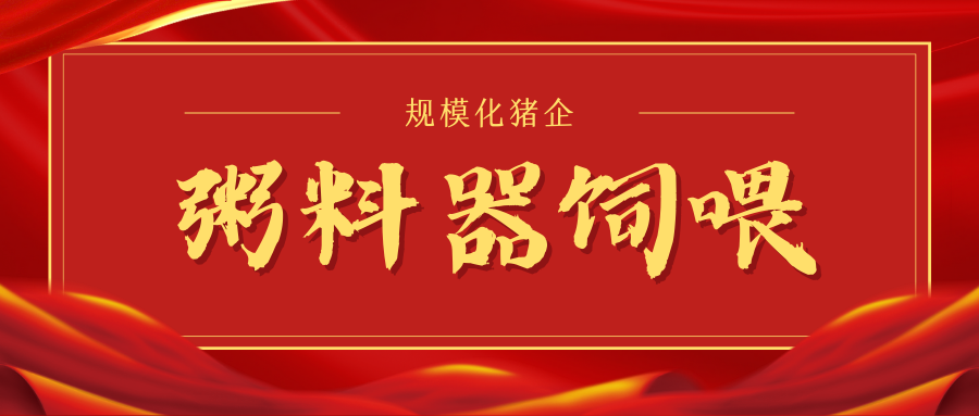 為什么粥料器喂養(yǎng)更適合大多數(shù)規(guī)?；i企