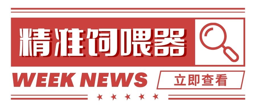哺乳母豬精準(zhǔn)飼喂與傳統(tǒng)飼喂對(duì)飼料成本和母豬性能的影響