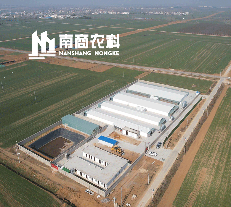  南商農(nóng)科：鄧州市南商農(nóng)科實(shí)驗(yàn)豬場即將投產(chǎn)。