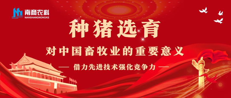 借力先進(jìn)技術(shù)強(qiáng)化競(jìng)爭(zhēng)力：種豬選育對(duì)中國畜牧業(yè)的重要意義 ?