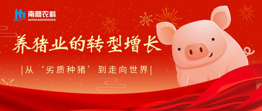 讓中國豬走向世界：養(yǎng)豬業(yè)的轉(zhuǎn)型增長(zhǎng)之路